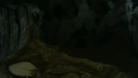 macho9385 online show from March 22, 8:36 pm