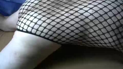 maestro2017 online show from October 20, 6:06 am