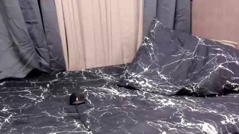 Annalyn online show from September 10, 1:54 pm