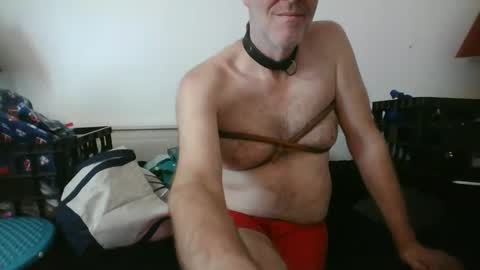 Snapshot of malebdsmslut chatting on March 8, 6:14 pm CommandbondageNipples bondage kink submissive lovense slave wgear. modequiethvyBondage If Password goldfish online show from March 8, 6:14 pm
