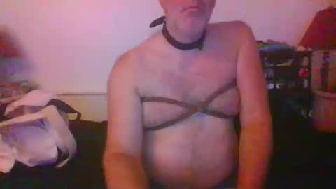 Snapshot of malebdsmslut chatting on October 14, 7:37 am CommandbondageNipples bondage kink submissive lovense slave wgear. modequiethvyBondage If Password goldfish online show from October 14, 7:37 am