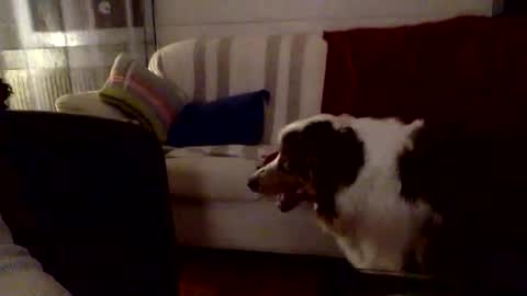 Manpo online show from February 12, 11:44 pm