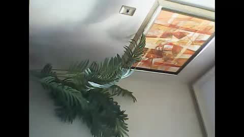 Snapshot of manu_481 chatting on March 7, 6:54 pm manu_481 online show from March 7, 6:54 pm