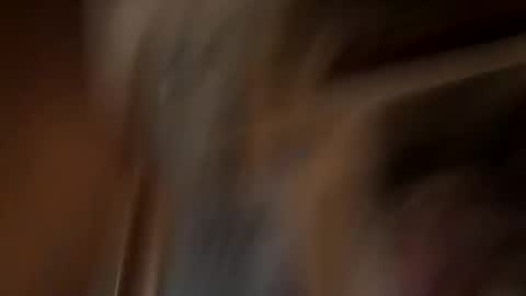 Snapshot of manwithaplan398327 chatting on October 21, 7:33 am manwithaplan398327 online show from October 21, 7:33 am