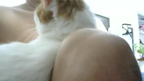 Master Mark online show from February 9, 1:03 pm