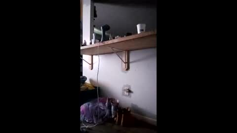 marklimp33 online show from May 28, 7:45 pm