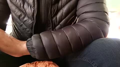 marocreda33 online show from December 21, 10:06 am