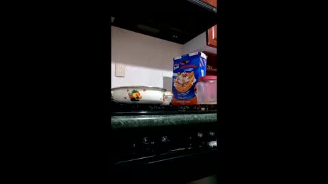 martin75edomex65 online show from December 21, 1:46 am