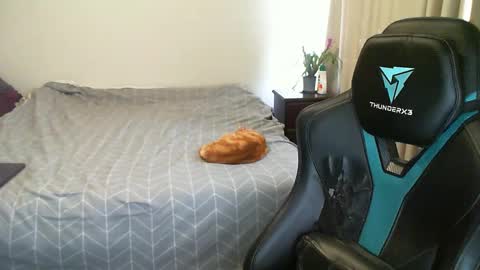 Matchy online show from January 31, 10:10 pm