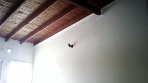 Snapshot of matifolk chatting on January 19, 2:38 pm matifolk online show from January 19, 2:38 pm