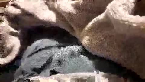 mattca80 online show from October 26, 2:46 am