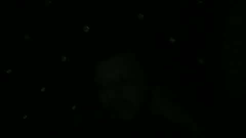 maurodcali online show from June 1, 2:01 am