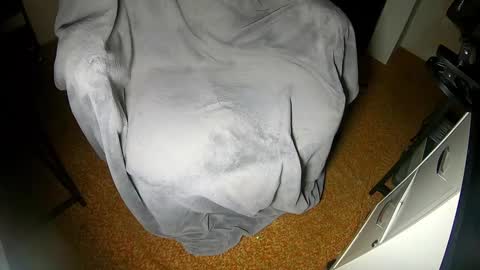 Maxx Ellis online show from December 31, 3:01 am