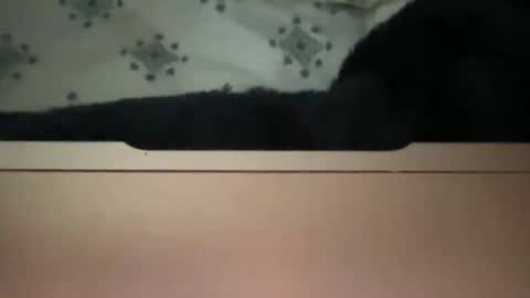 mcsteamy05 online show from March 3, 8:16 pm