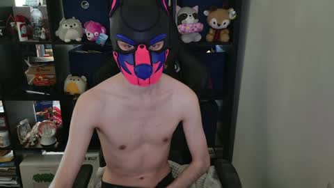MellPUP online show from April 30, 6:37 pm