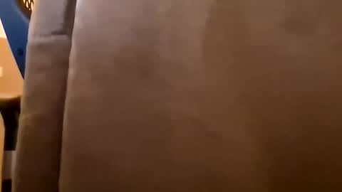 DutchFun Cock online show from January 6, 4:33 pm