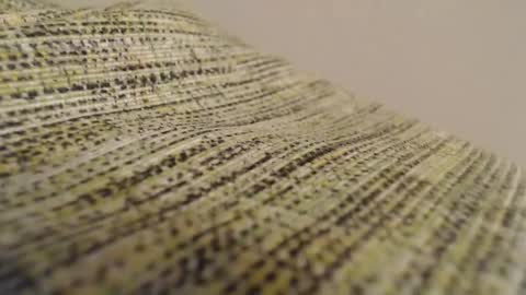 Mauro online show from February 11, 8:52 pm