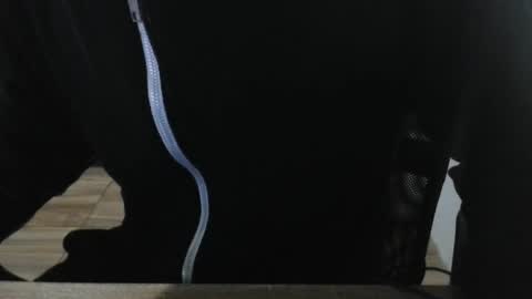 miamorr_ online show from February 3, 4:43 am