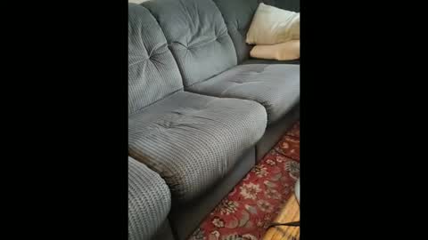 michaskinny online show from November 21, 7:51 am