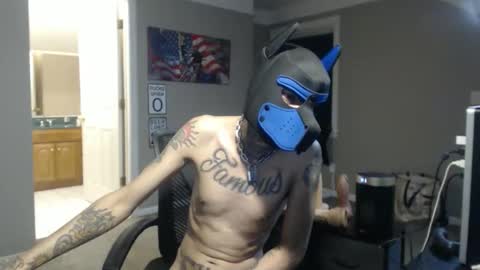 michigan9000 online show from February 3, 6:22 am