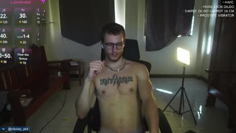 Snapshot of mickey_pict chatting on December 11, 5:44 am Mickey online show from December 11, 5:44 am