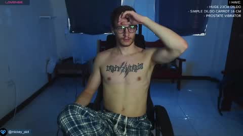 Snapshot of mickey_pict chatting on December 27, 4:15 am Mickey online show from December 27, 4:15 am