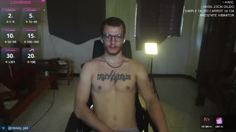 Snapshot of mickey_pict chatting on December 10, 1:40 am Mickey online show from December 10, 1:40 am