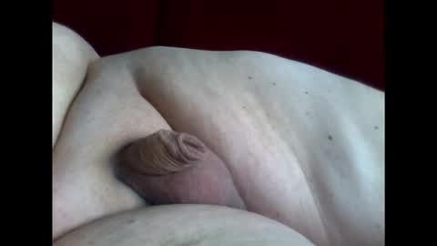 micropimmel online show from February 1, 12:04 pm