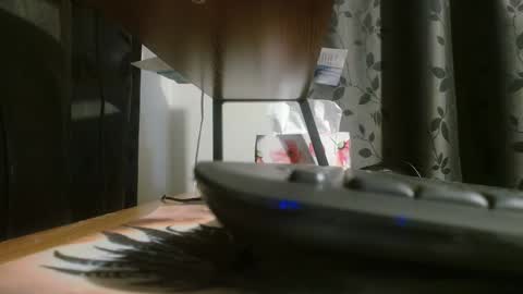 miketrike137 online show from September 22, 9:31 am