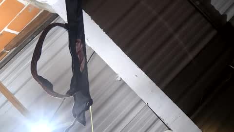 miky17cm online show from February 8, 3:34 am