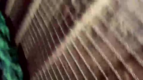 mil8207 online show from November 16, 4:25 am