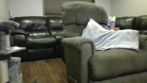 Minnesota Guy online show from November 7, 11:30 pm