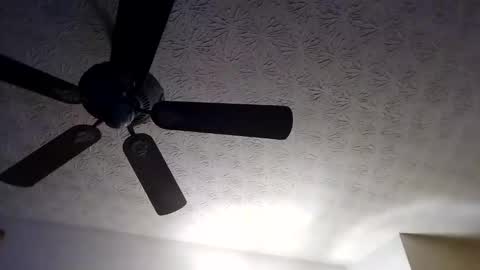 BobbyMitchGa online show from September 18, 10:28 am