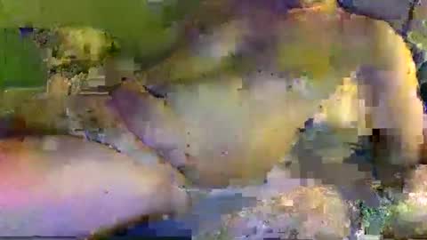 mjstratman online show from February 11, 11:33 pm