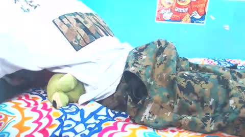 hornybull online show from December 26, 12:16 pm