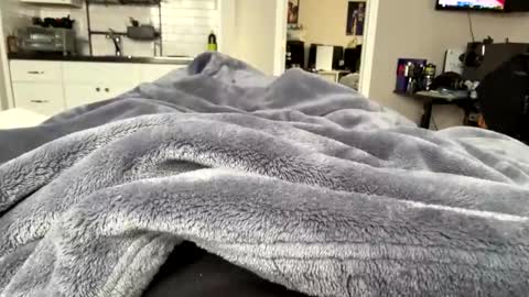 moethecheater7 online show from February 14, 7:53 pm