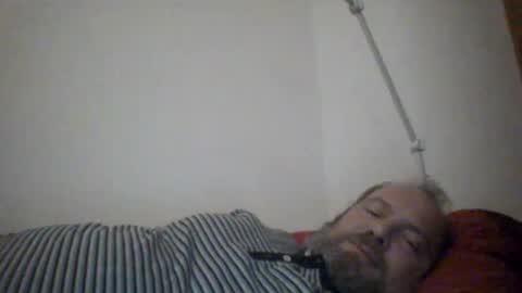 mofu781s online show from December 23, 10:55 pm