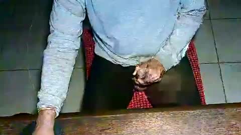 mon_za online show from December 14, 7:46 pm