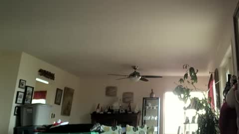 Monkee Dance online show from December 15, 6:27 pm