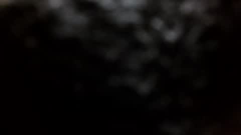 BouncyBoner online show from September 8, 11:04 pm