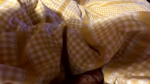 Mozes online show from December 22, 5:10 pm