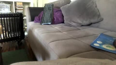 Nikola online show from February 22, 8:40 am