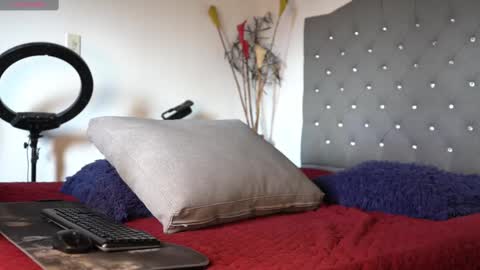 Snapshot of mrlouiss chatting on February 16, 8:11 pm Luis    Instagram   online show from February 16, 8:11 pm