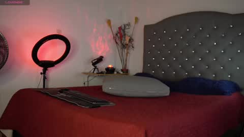 Snapshot of mrlouiss chatting on February 14, 3:05 pm Luis    Instagram   online show from February 14, 3:05 pm