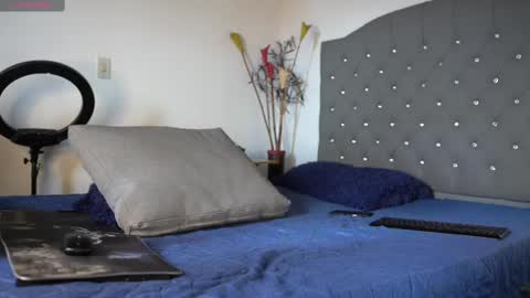 Snapshot of mrlouiss chatting on February 17, 4:15 pm Luis    Instagram   online show from February 17, 4:15 pm