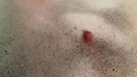 Snapshot of mrnoface95 chatting on January 24, 7:28 pm Steven online show from January 24, 7:28 pm