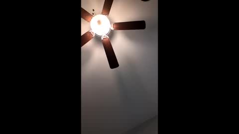 mrorange50187 online show from January 12, 2:52 pm