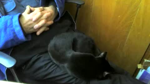 muller520 online show from March 1, 11:10 am