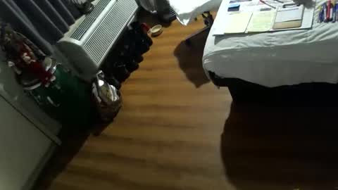 LA MARIPOSA DE MARICOPA online show from November 14, 12:39 pm