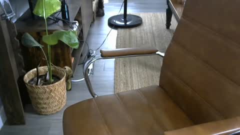 Snapshot of nareth338 chatting on September 21, 8:53 pm nareth338 online show from September 21, 8:53 pm